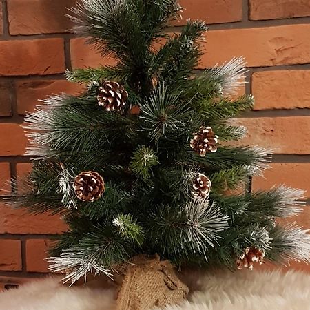 Apartamenty Bachledzki Wierch, Закопане Екстериор снимка